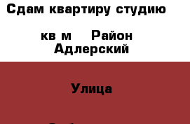 Сдам квартиру-студию 33 кв.м. › Район ­ Адлерский › Улица ­ Орбитовская  › Дом ­ 20/7Б › Цена ­ 2 000 - Краснодарский край, Сочи г. Недвижимость » Квартиры аренда посуточно   